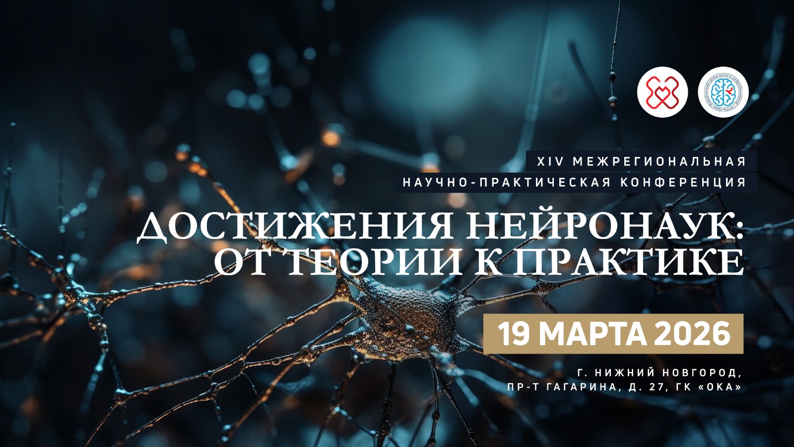 XIV Межрегиональная научно-практическая конференция «Достижения нейронаук: от теории к практике»