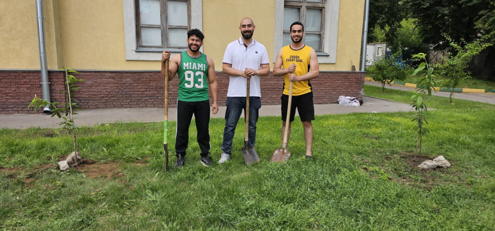 Planting Cherry Trees