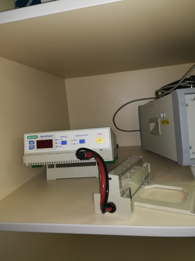 Электропоратор MicroPulser