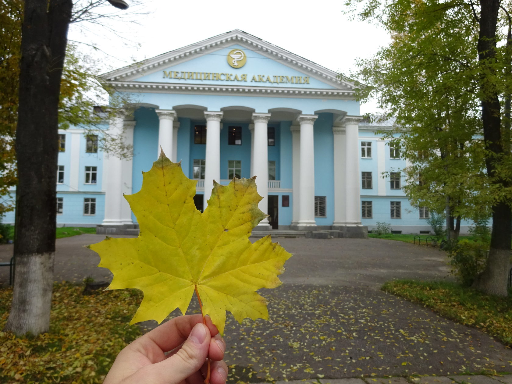 Нормальной физиологии им. Н.Ю. Беленкова