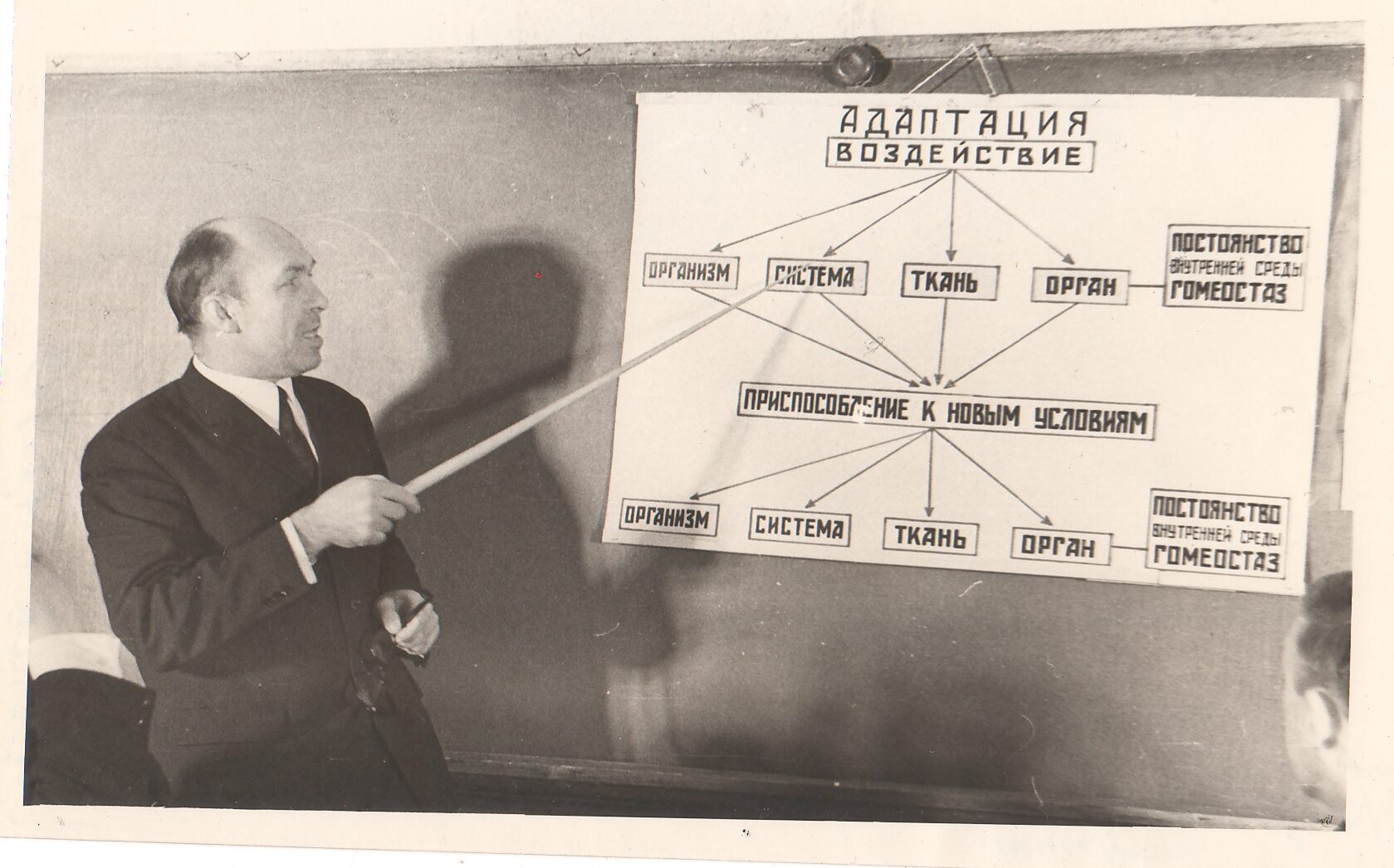 Алексей Павлович Сорокин