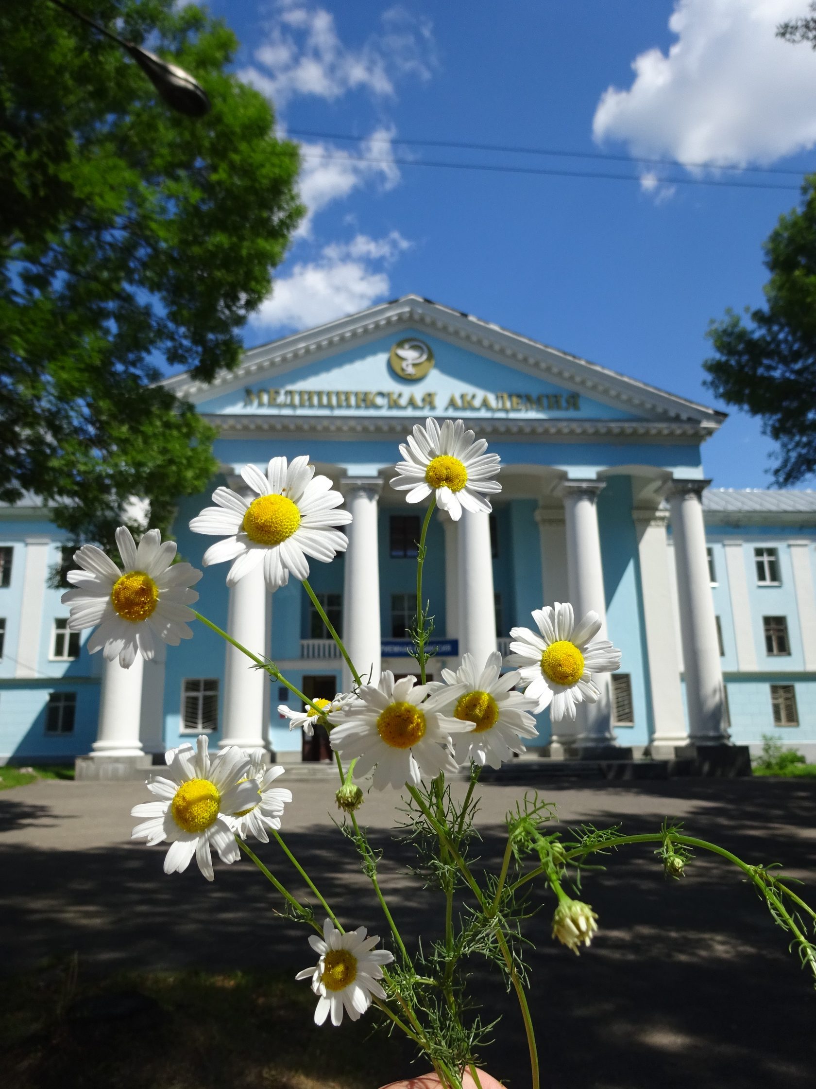 Нормальной физиологии им. Н.Ю. Беленкова