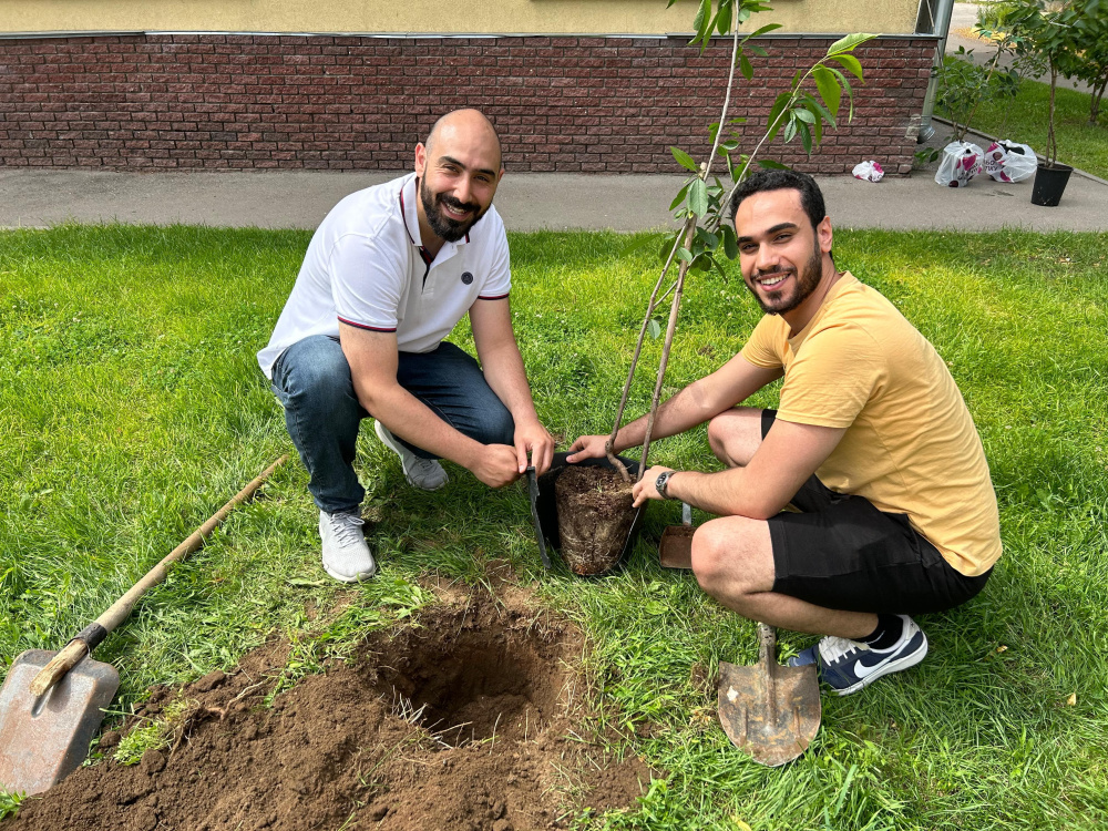 Planting Cherry Trees Planting Cherry Trees