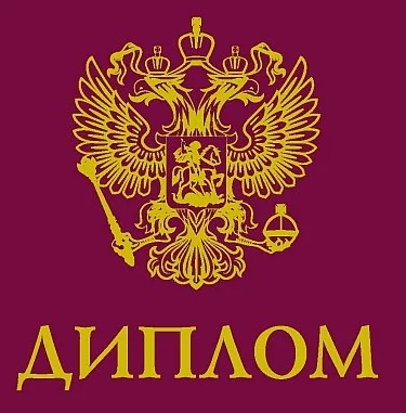 2. Документ об образовании и о квалификации, удостоверяющий образование соответствующего уровня с отличием, полученный в образовательной организации Российской Федерации