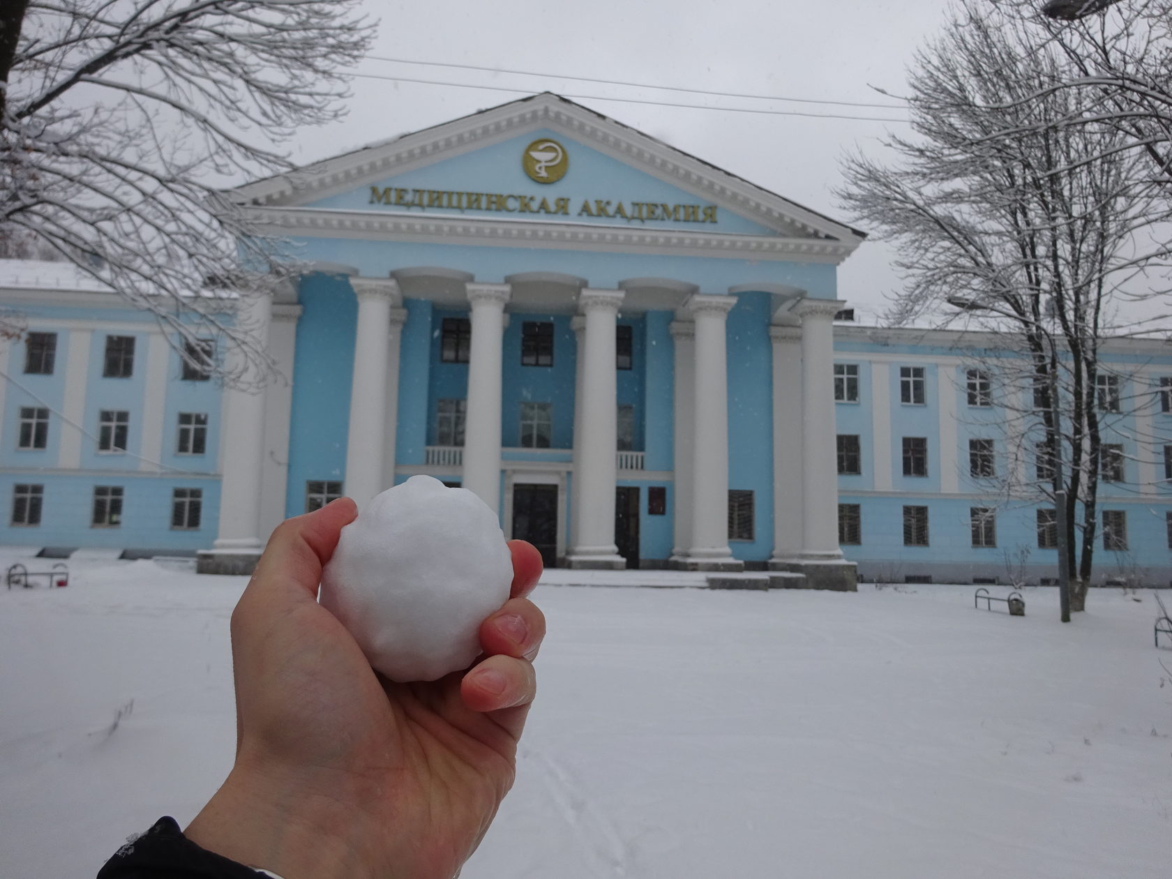 Нормальной физиологии им. Н.Ю. Беленкова